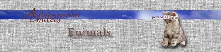 Animals